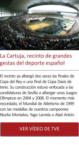 La Cartuja, recinto de grandes gestas del deporte español